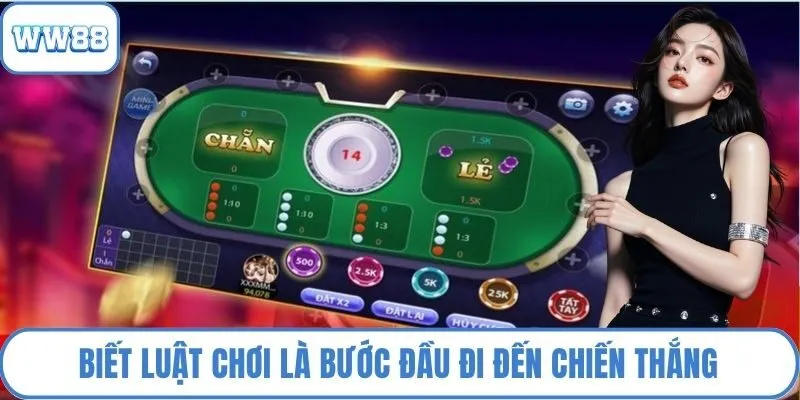 Biết luật chơi là bước đầu đi đến chiến thắng