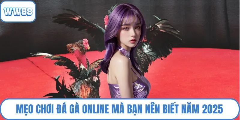 Mẹo chơi đá gà online