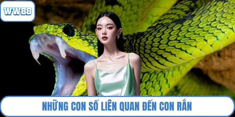 Những con số liên quan đến con rắn