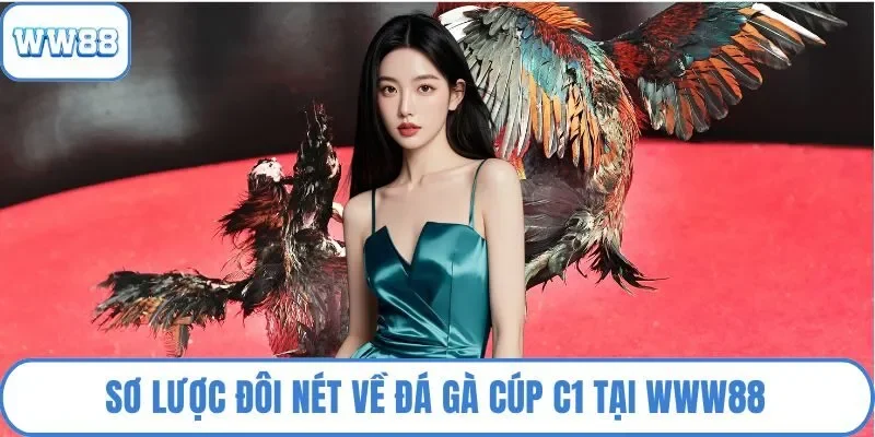 Sơ lược đôi nét về đá gà cúp C1 tại WW88